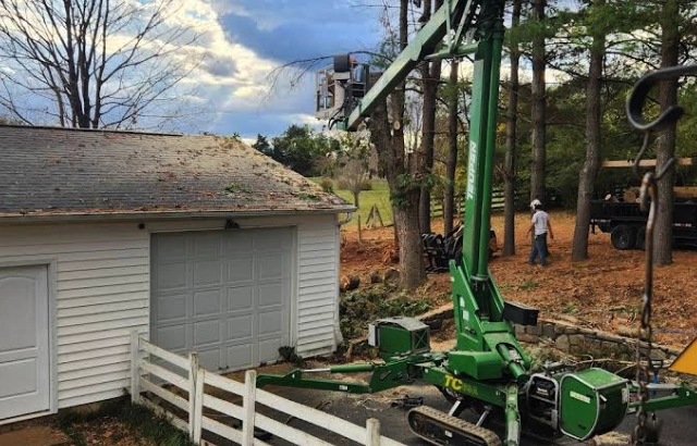 Trusted Tree Removal in Bonsack, VA