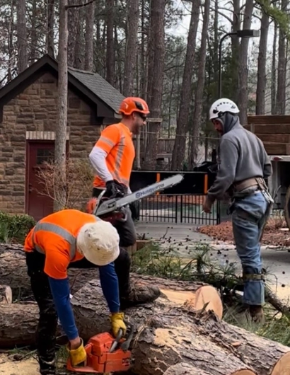 Meticulous and Safe Tree Removal in Marvin, SC