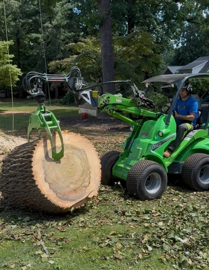 Reliable and Professional Tree Removal in Matthews, NC
