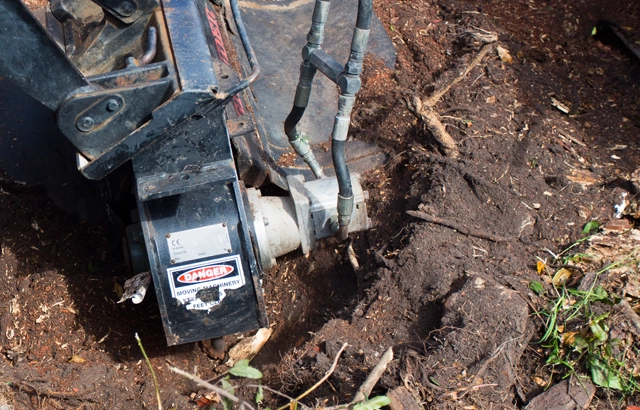 Fast and Effective Stump Grinding in Bonsack, VA