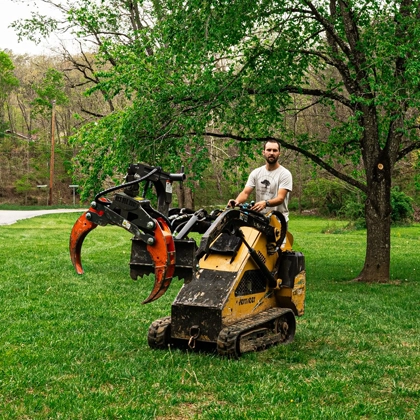 Bonsack's Go-To Source for Expert Tree Care