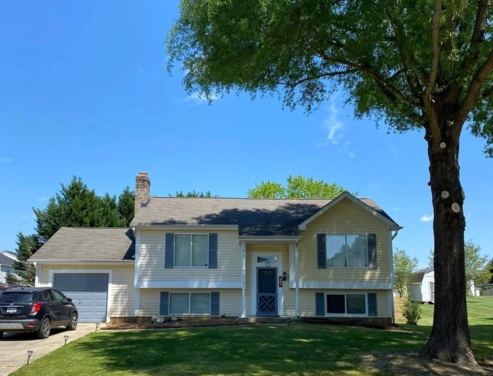 Specialized Tree Services